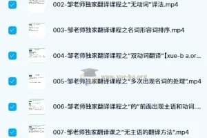 邹老师翻译技巧课（八节）