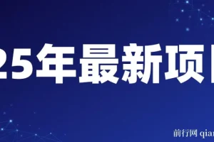 一天收益1000+ ,25年开年落地好项目