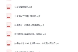 《12月11日信息差合集，副业项目+实战技巧+认知思维》[PDF]