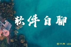 软件自聊，赚钱的项目，不存在幸存者原则，做就有每天500+