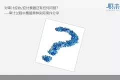 审计实务全攻略：从入门到精通