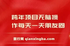 跨年项目无脑操作每天一天朋友圈日入200+
