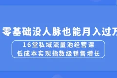 16堂私域流量池经营课：低成本实现指数级销售增长，零基础没人脉也能月入过万
