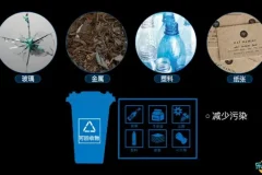 乐乐课堂生物大百科191集动画视频课程，轻松掌握生物知识