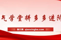 牛气学堂拼多多进阶课