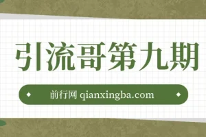 引流哥第九期