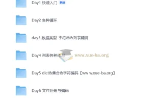 路飞学城 零基础学PYTHON等1个文件