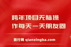 跨年项目无脑操作每天一天朋友圈日入200+