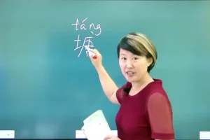 杨妈英语拼写速成课：43节攻克听音拼写