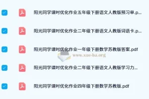 2024阳光同学课时优化作业