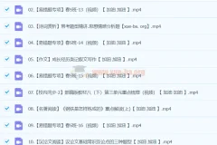 2024初二语文 柳宁语文 A+春季班(春下)