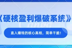 《硬核盈利爆破系统》——直入赚钱的核心真相，简单干脆！
