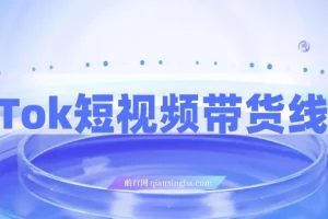 TikTok短视频带货线上课，深挖TK投流达人打法