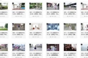 【一只小短短舞蹈视频合集】