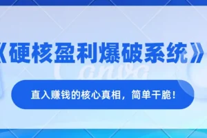 《硬核盈利爆破系统》——直入赚钱的核心真相，简单干脆！