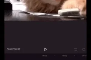 余成抖音同城运营实战课：实体店引流涨粉变现秘籍