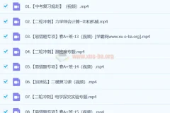 谭清军 2024初三中考物理视频课程 春季班（下）