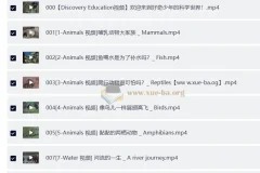 Discovery 双语科学启蒙课 探索·好奇少年的双语科学世界 (音视频+配套资料)