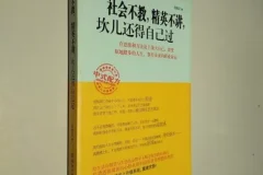 如何混社会的书 《社会不教，精英不讲，坎儿还得自己过》