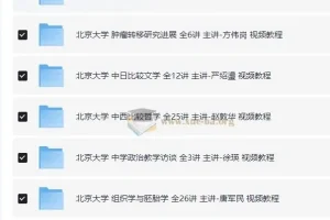 最高学府北京大学精品网课大合集 名师亲授 【41G】