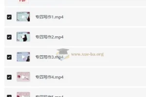 大学英语 lili专业英语 专四写作