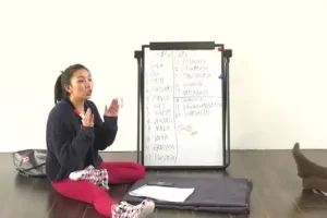 《瑜伽从初级到高级：100节全面教程》