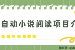 全自动小说阅读，纯脚本运营，可批量操作，时间自由，小白轻易上手