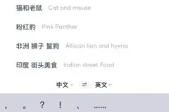 国外美食与视频创业全攻略：从素材搜索到抖音运营