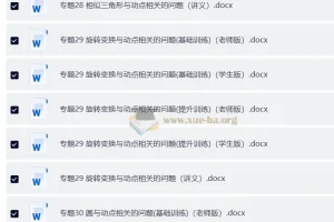2025初中几何模型90讲 word文档