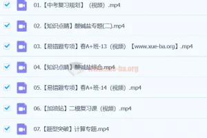 2024初中初三中考化学 寒假春季班 陈耀泉