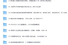 《2025最新网创项目合集》事业赚钱必学教程[MP4]