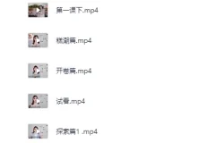 《吴么西付费教程：持久高潮训练》[MP4]