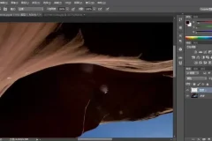 Photoshop CC色彩原理与调色技巧 – Adobe认证专家视频教程