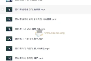 学韩语做疯狂韩语达人60课时 【5.87 GB】