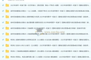 2025年高考数学一轮复习《重难点题型与知识梳理•高分突破》（新高考专用）