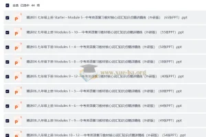 中考英语 复习教材核心词汇知识点精讲精练