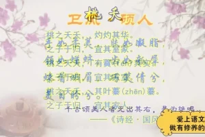 儒家经典与文学素养提升课程（4-9年级）