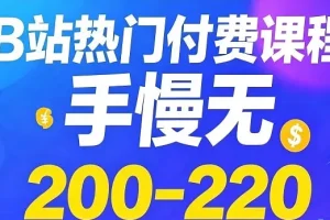 《B站热门付费课程Top200-220》
