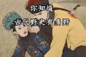 历朝历代野史秘史合集