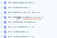 税务主管私教班-财会成长学苑（完结）