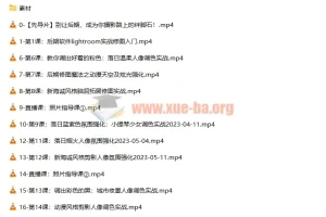 2023人像修图调色实战训练营