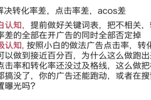 亚马逊广告实战课：底层逻辑与高阶打法