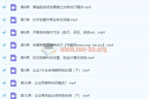 税务主管私教班-财会成长学苑（完结）