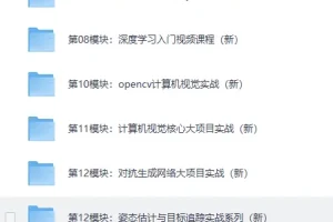 《路飞Python人工智能AI工程师》[MP4]