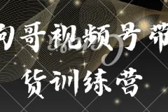 狗哥视频号带货训练营