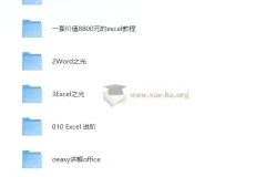 大厂内训最强office教程大合集 原价8888打工人必备 [34G]