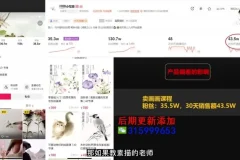 肖伯戎短视频直播电商创新课：流量与转化秘籍
