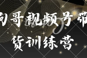 狗哥视频号带货训练营