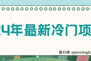 24年最新冷门项目，无脑搬运，收益无上限，保姆级落地教程