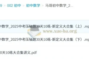 马哥初中数学 2025中考压轴题30天10练-新定义大合集